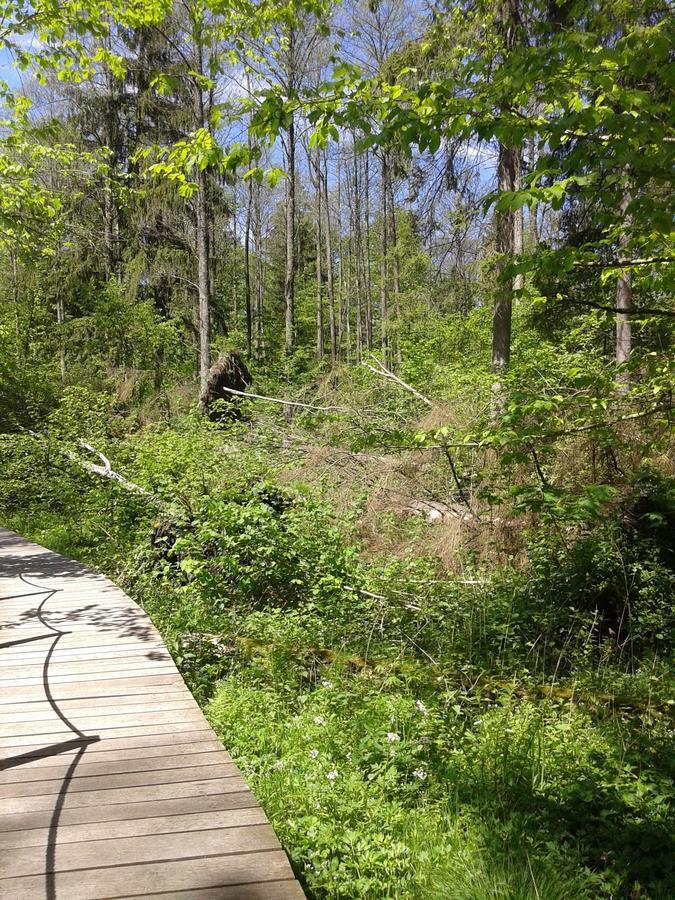 Cztery Pory Roku Guest House Bialowieza Exterior photo