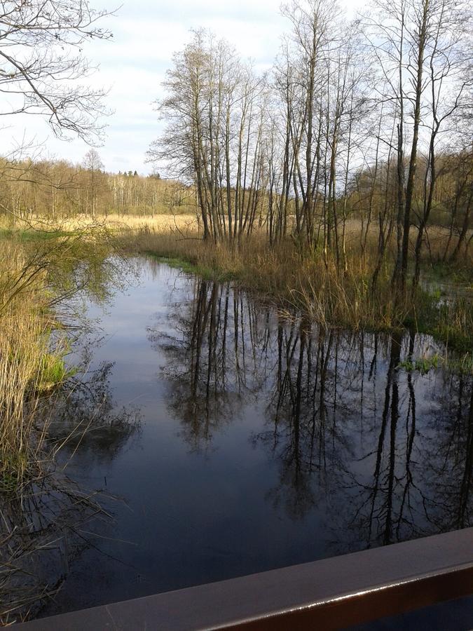 Cztery Pory Roku Guest House Bialowieza Exterior photo