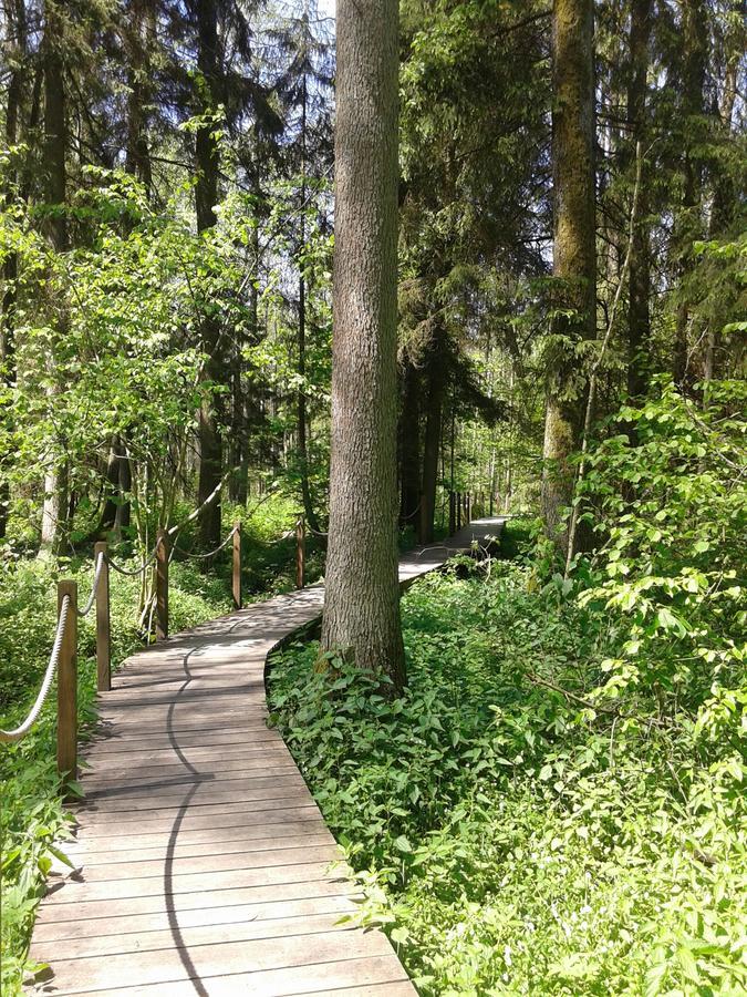 Cztery Pory Roku Guest House Bialowieza Exterior photo